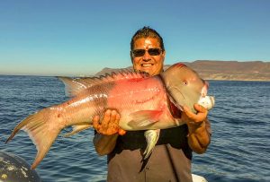 Captain Louie Prieto shows off one of the better-quality sheepshead caught on a recent outing.