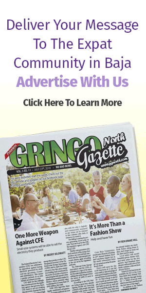 Gringo Gazette North