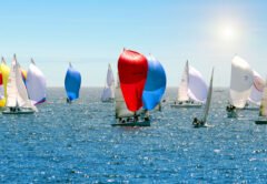 The Newport to Ensenada International Yacht Race turned 70 this year. Read more on this edition's Que Pasa in Baja column.