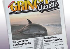 October 15, 2018 Edition