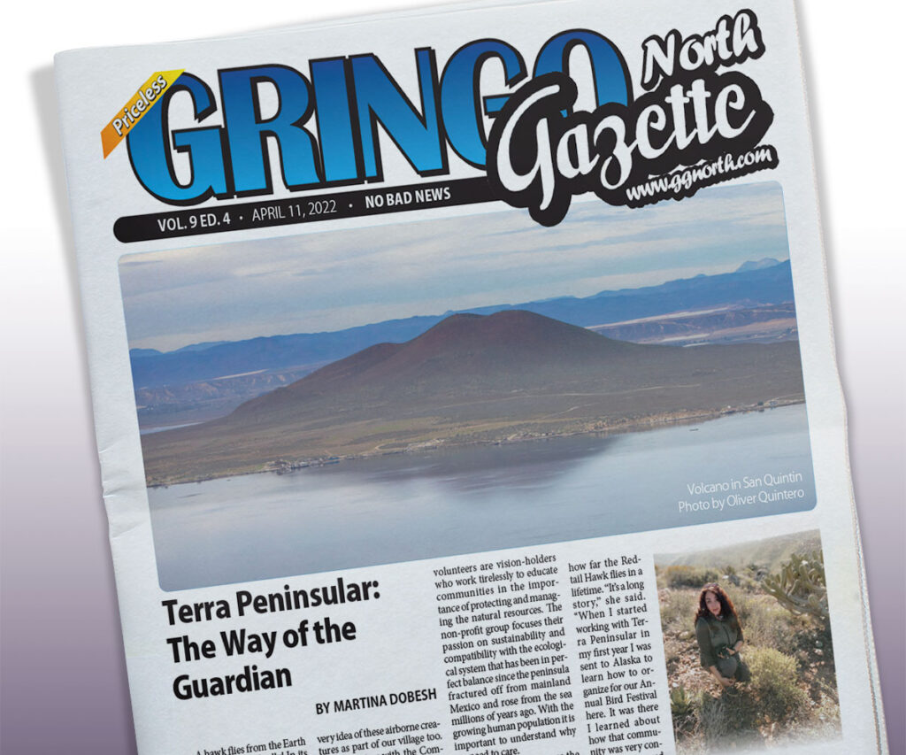 April 11, 2022 Edition
