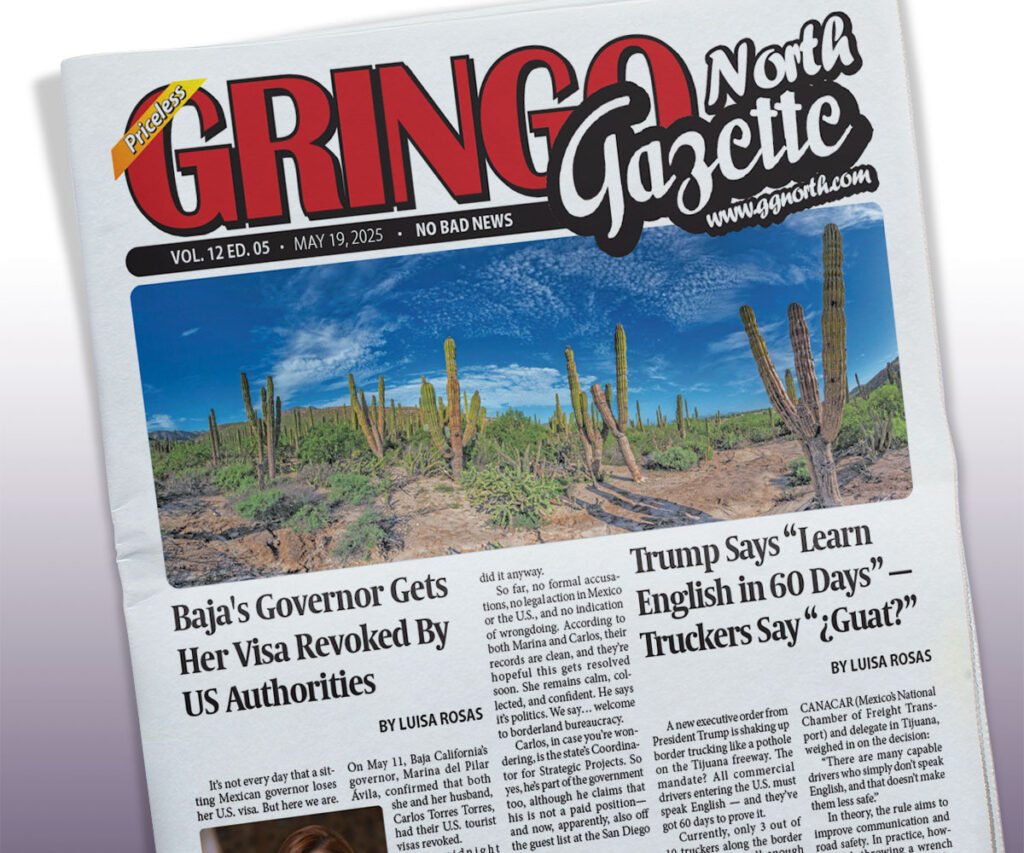 May 19, 2025 Edition