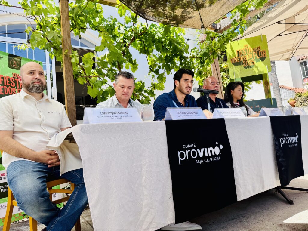 Viñedos en Flor 2025: Wine, Art & Causes Worth Toasting To