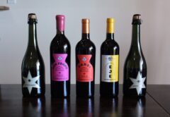 Symmetria’s Liquid Lineup: From bubbly Luminaria to bold reds like Don Franc, Dandi, and Eje—each bottle is a love letter to Baja, handcrafted with balance, heart, and zero shortcuts.