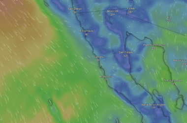 Baja in Bloom (and Fog): A Friendly Guide to June’s Weather Mood Swings