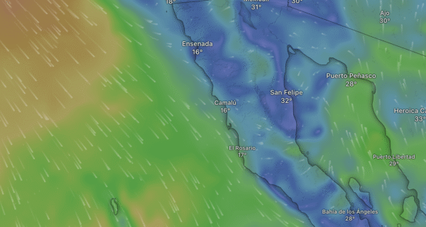 Baja in Bloom (and Fog): A Friendly Guide to June’s Weather Mood Swings
