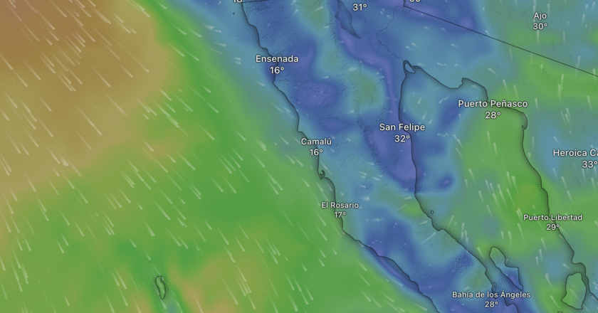 Baja in Bloom (and Fog): A Friendly Guide to June’s Weather Mood Swings