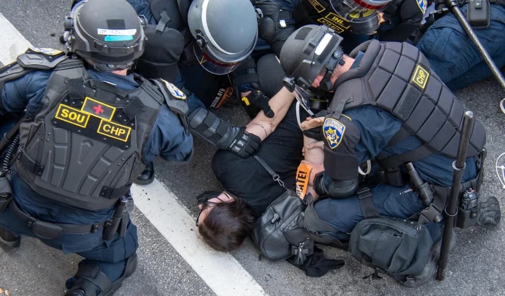Photo credit: Reddit user u/TriggerHappyPins, r/pics — “Los Angeles ICE Protest” (Original Content, posted 3 days ago)