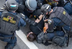 Photo credit: Reddit user u/TriggerHappyPins, r/pics — “Los Angeles ICE Protest” (Original Content, posted 3 days ago)