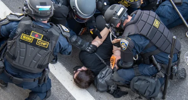 Photo credit: Reddit user u/TriggerHappyPins, r/pics — “Los Angeles ICE Protest” (Original Content, posted 3 days ago)