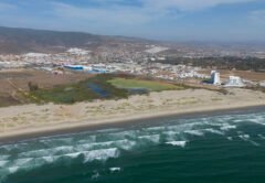La Lagunita, Ensenada—Once a thriving coastal wetland, now showing troubling signs of drought.