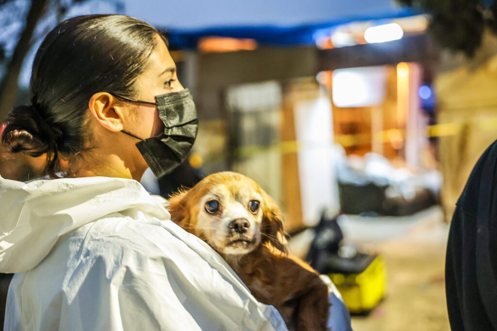 Trapped, Sick, Forgotten: Ensenada’s 300 Dogs Find Hope