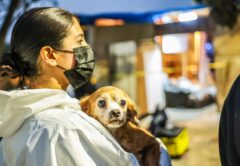 Trapped, Sick, Forgotten: Ensenada’s 300 Dogs Find Hope