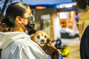 Trapped, Sick, Forgotten: Ensenada’s 300 Dogs Find Hope