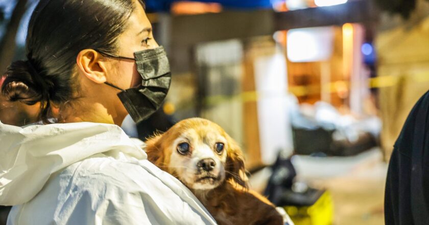Trapped, Sick, Forgotten: Ensenada’s 300 Dogs Find Hope