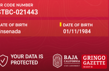 “Sé Turista en Tu Baja California” card—now in English—so our readers can understand what it looks like and how it works