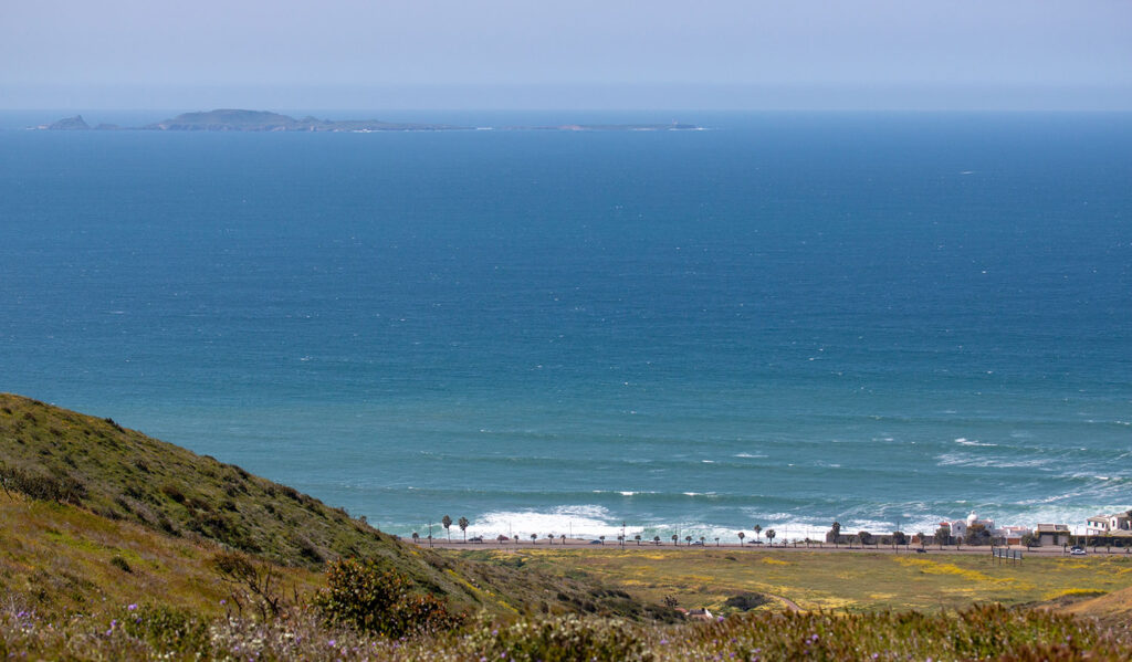 11,800 Say “Nope” to Port Mega Project in El Sauzal