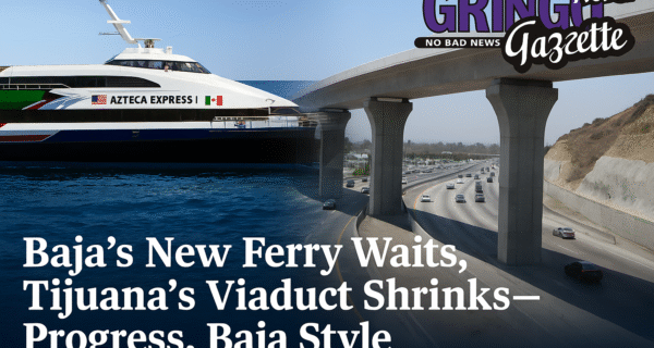 Baja’s Moving… in Its Own Way