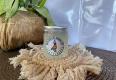 Cedros Island Women Launch Eco-Friendly Fish Leather Line