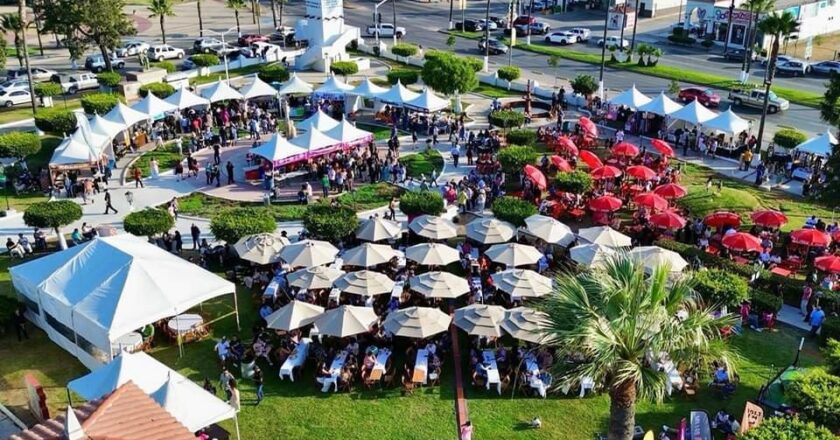 Cheers from Above: The Margarita Crowd Gathers