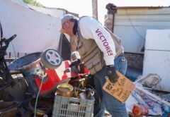 Hunting Down Mosquito Nurseries in Baja