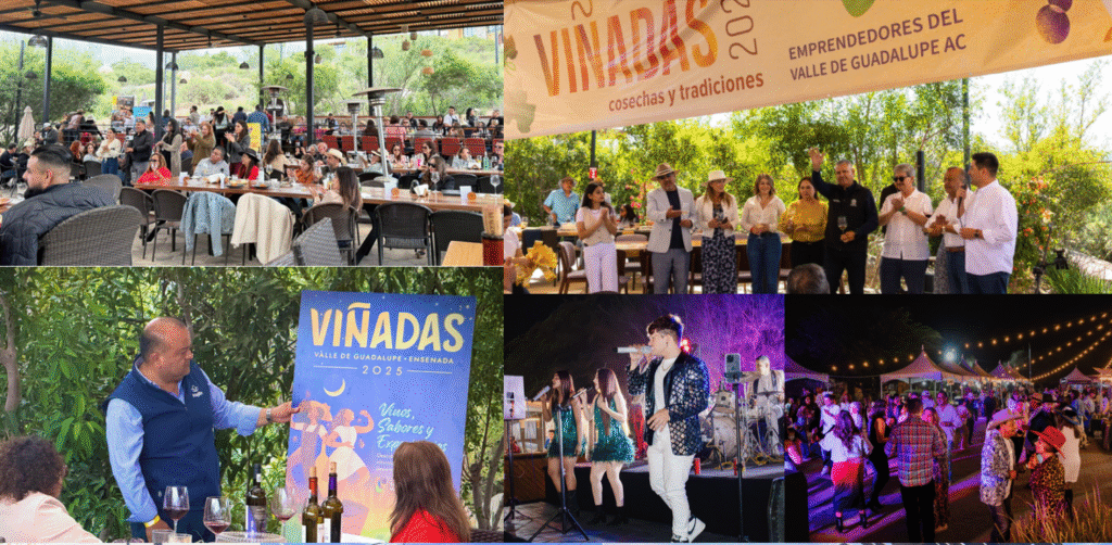 Valle Turns Up the Flavor With Viñadas 2025