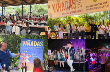 Valle Turns Up the Flavor With Viñadas 2025