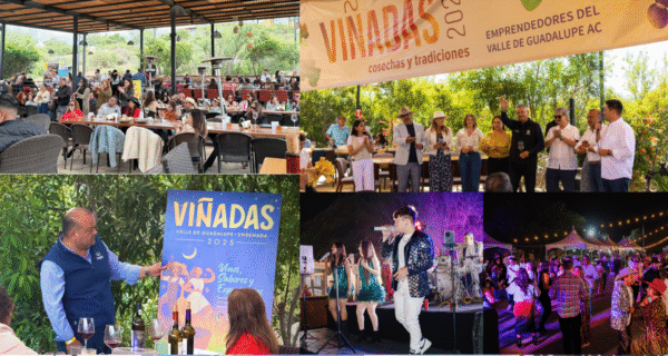 Valle Turns Up the Flavor With Viñadas 2025