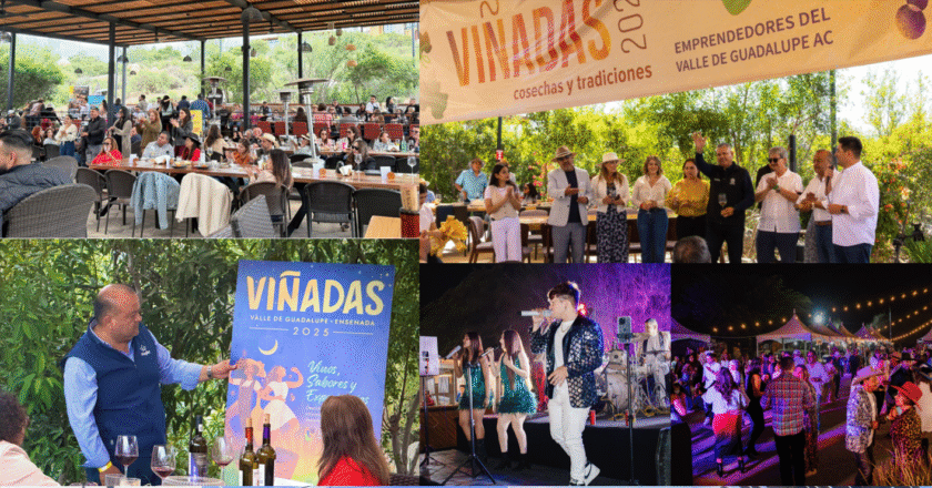 Valle Turns Up the Flavor With Viñadas 2025