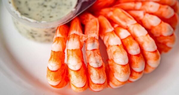 Shrimp Season Served on Ice