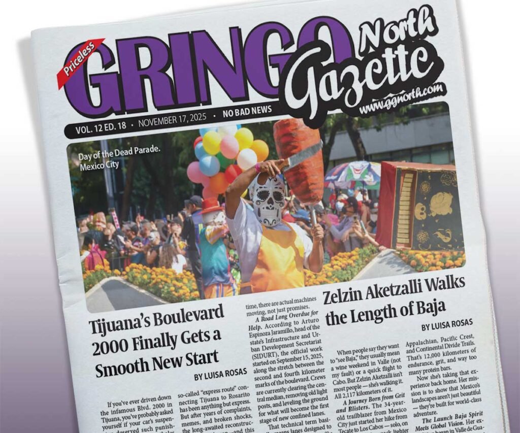 November 17, 2025 Edition