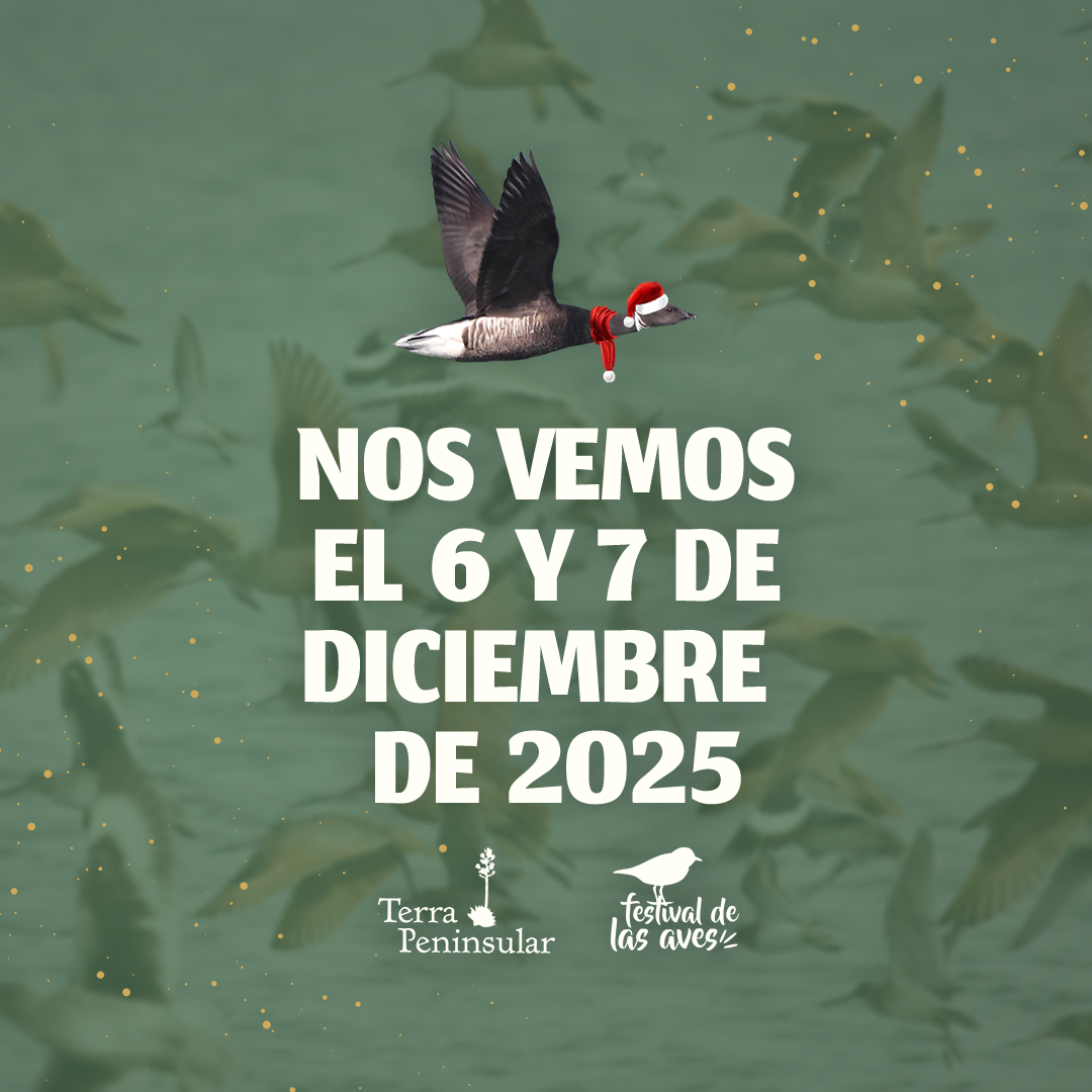 67dc4a639c419fddc55b0249_kZ-E43jtmPPZyeiabXW4woqQsmQPgHXrkrGkbEPxk1M - Gringo Gazette North