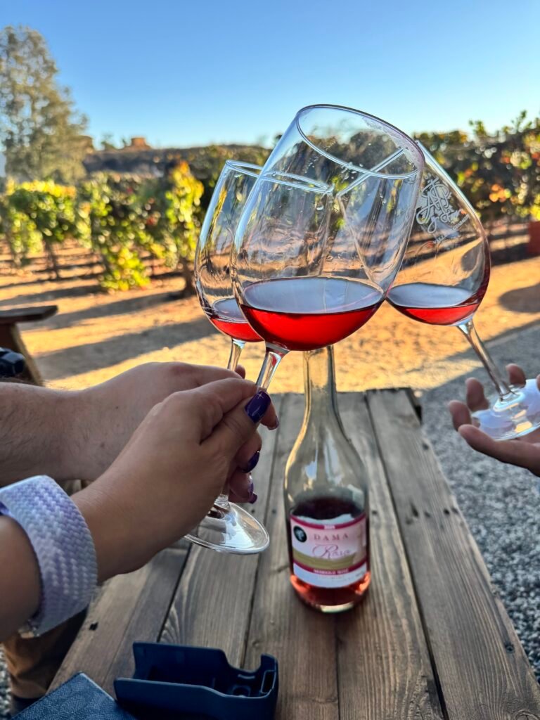 Three generations, one dream. At ATP, every bottle — from Peón to Jaque Mate — moves with heart, history, and a hint of rebellion.