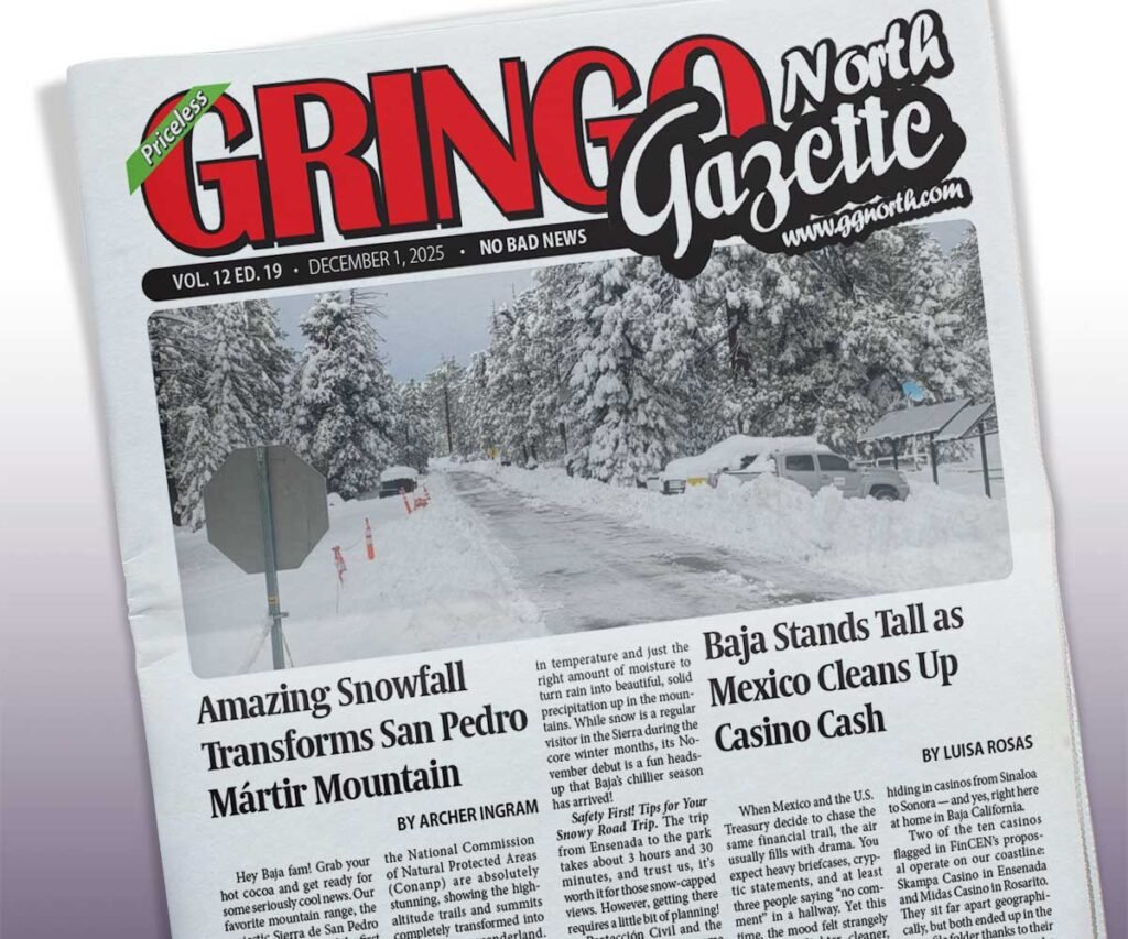 December 1, 2025 Edition