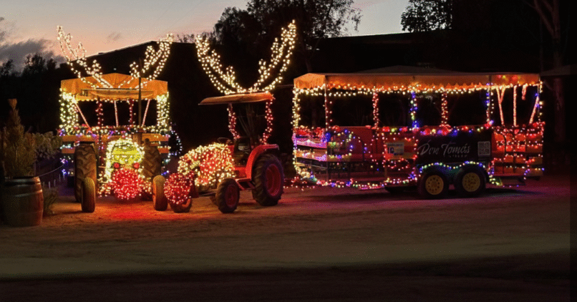 Reindeer Mode: Valle Edition