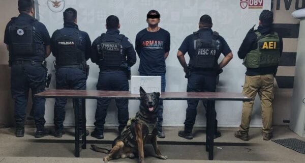 Legendary Kilo: Hero With Paws