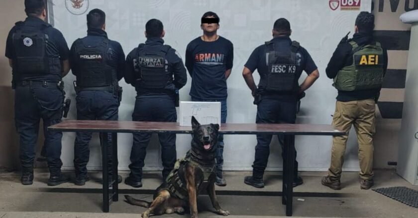 Legendary Kilo: Hero With Paws