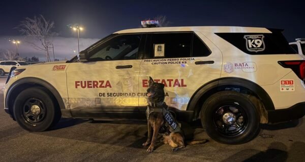 Baja’s Elite K-9 Fritz Scores 95 in U.S. Trials