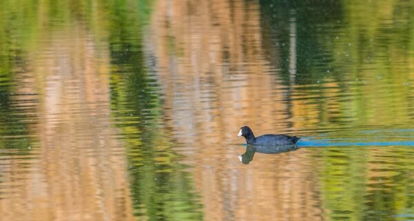 Mexicali’s Las Arenitas The Green Stop on Highway 5